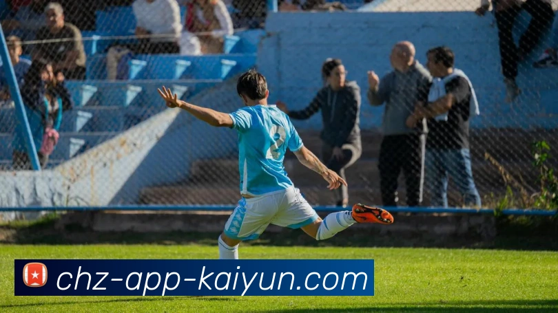 kaiyun平台生态图